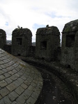 SX23339 Conwy Castle tower roof.jpg